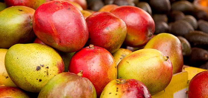 The Golden Fruit’s Mango Marvel