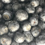 The Blueberry Bonanza